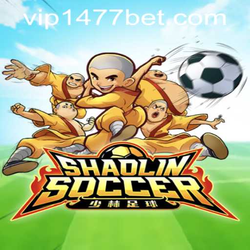 Shaolin Soccer: The Martial Arts Football Game